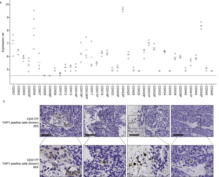 Supplementary Data 5
