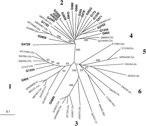 FIG. 3.