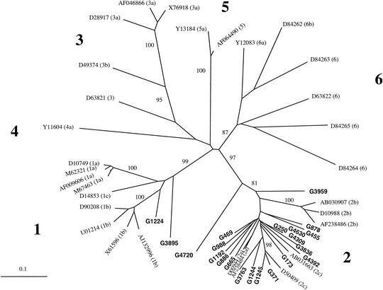 FIG. 4.