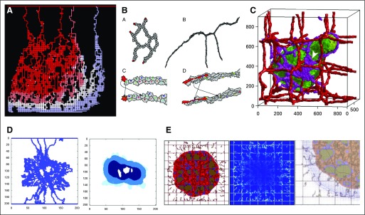 FIG 3.