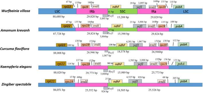 Fig. 3