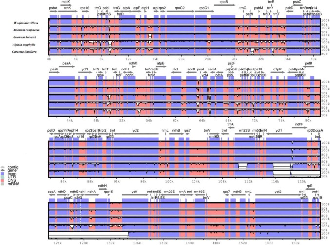 Fig. 4