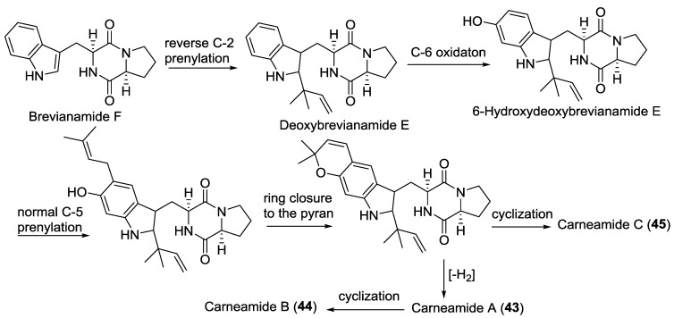 Scheme 3