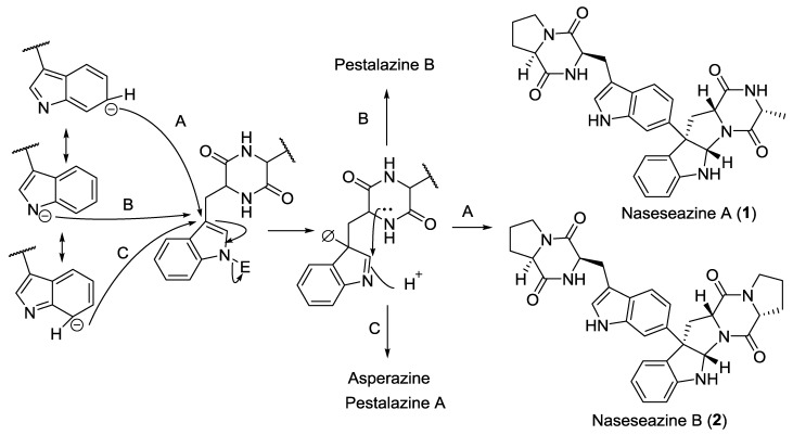 Scheme 1