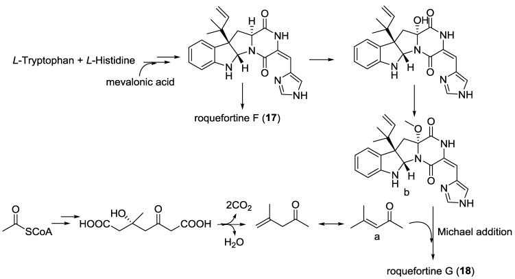 Scheme 2