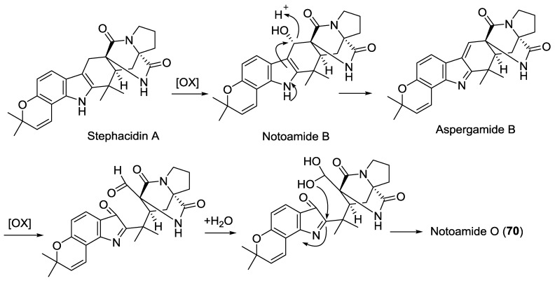 Scheme 4