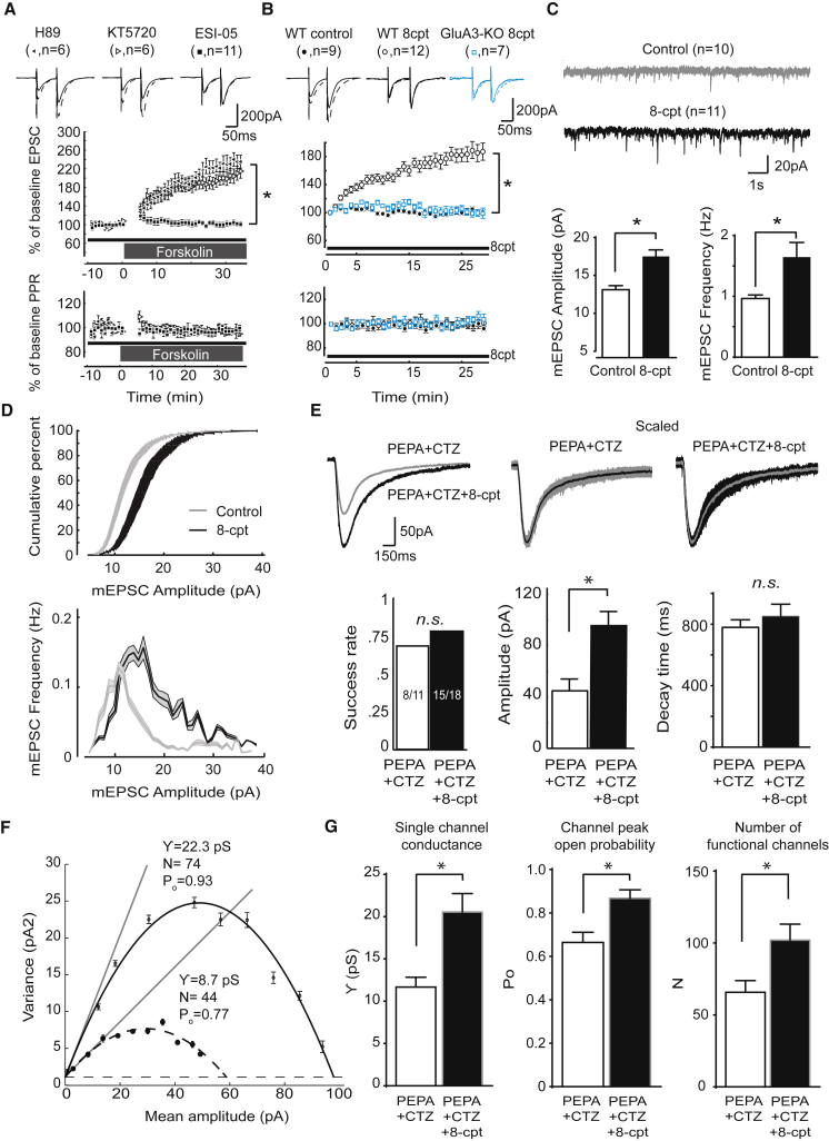 Figure 6