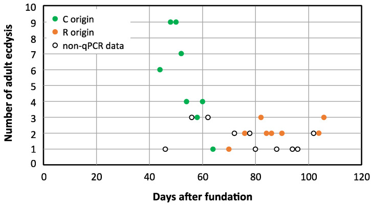 Figure 11