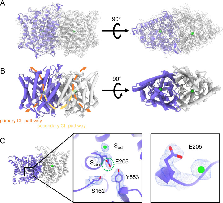 Figure 2.