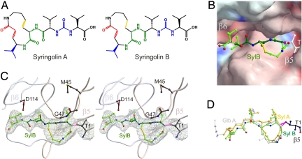 Fig. 4.