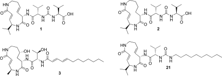 Fig. 1.