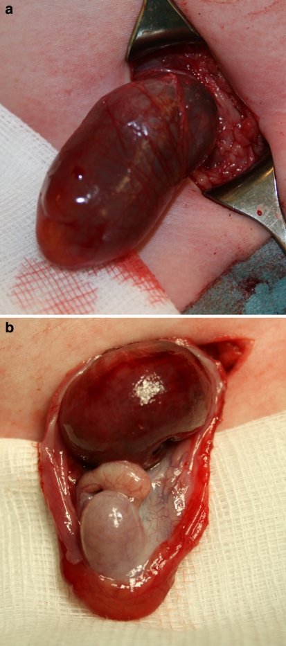 Fig. 2