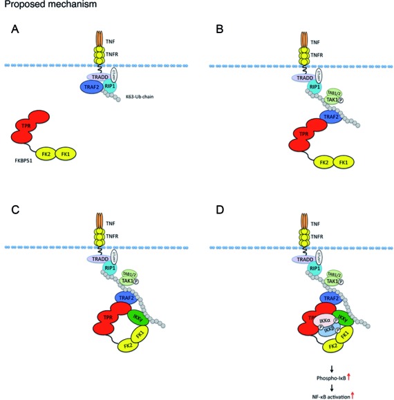 Figure 6.