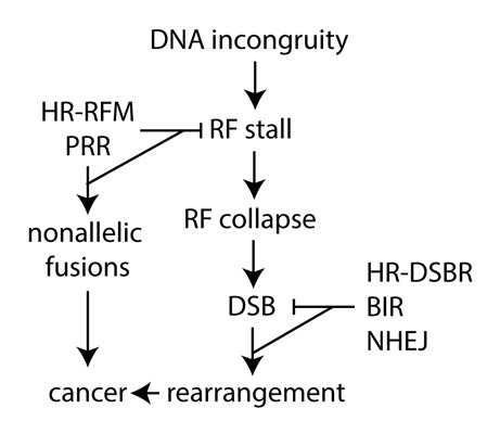 graphic file with name kmco-01-01-10929904-g001.jpg