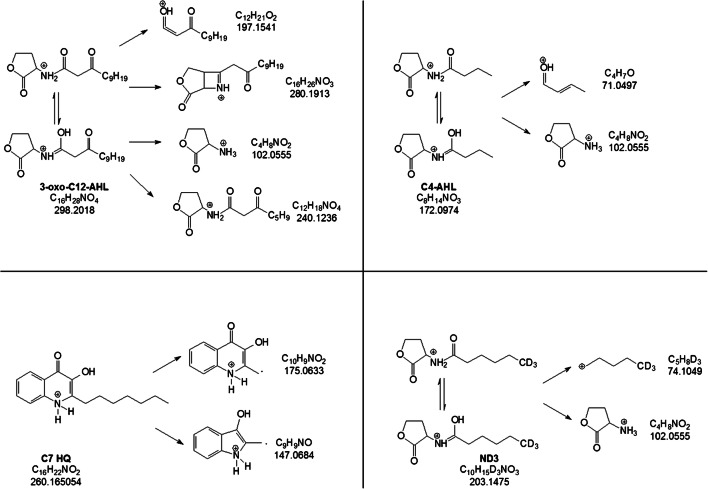 Fig. 4
