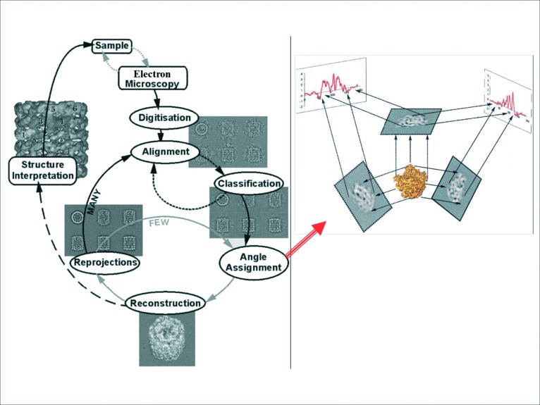 Figure 12. 