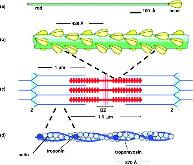 Figure 3. 