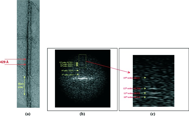 Figure 9. 