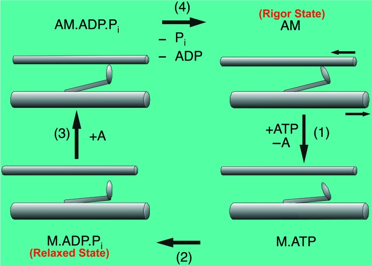 Figure 2. 