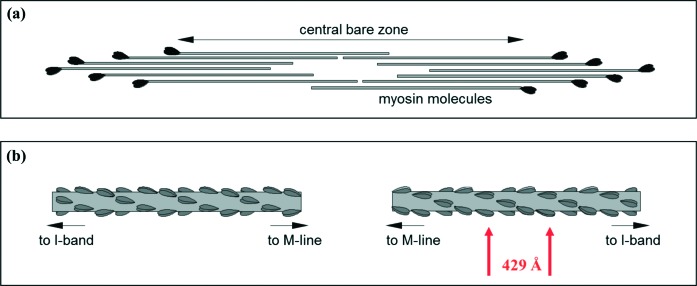 Figure 5. 