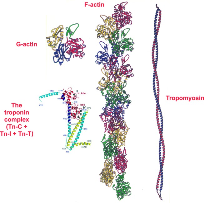 Figure 6. 