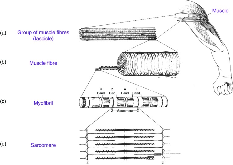 Figure 1. 