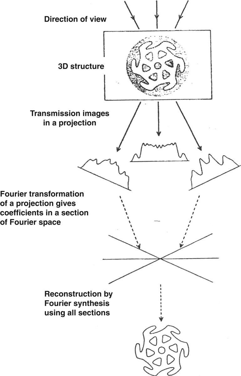 Figure 13. 