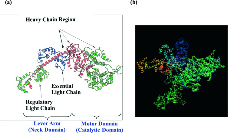 Figure 4. 