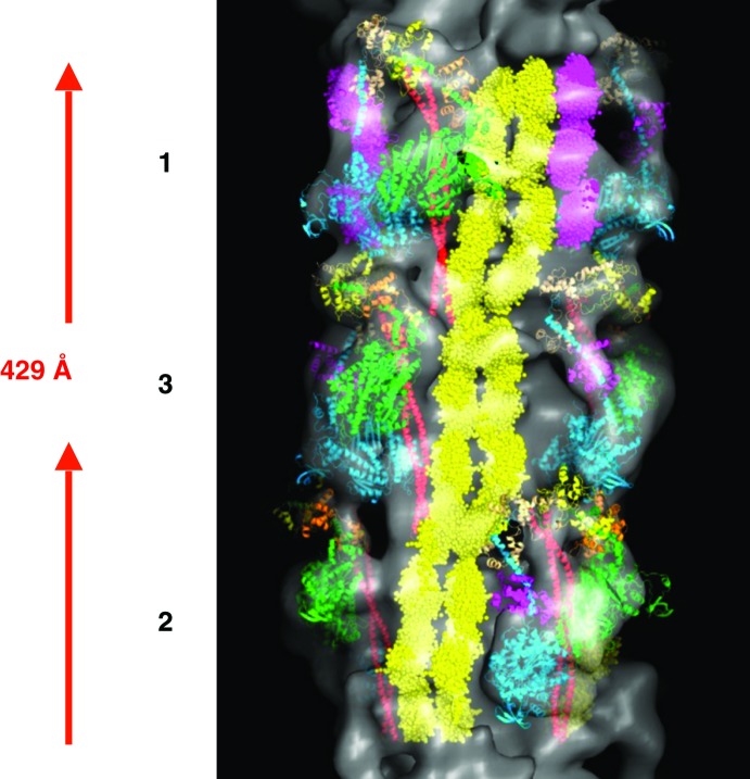 Figure 17. 