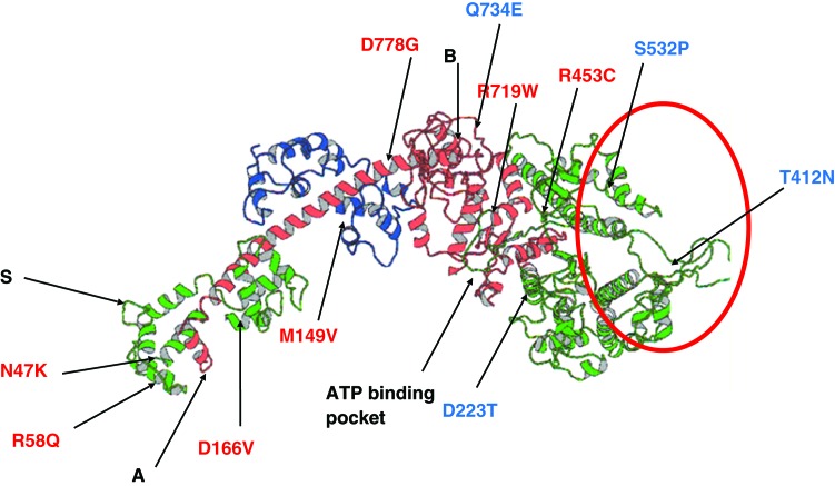 Figure 20. 