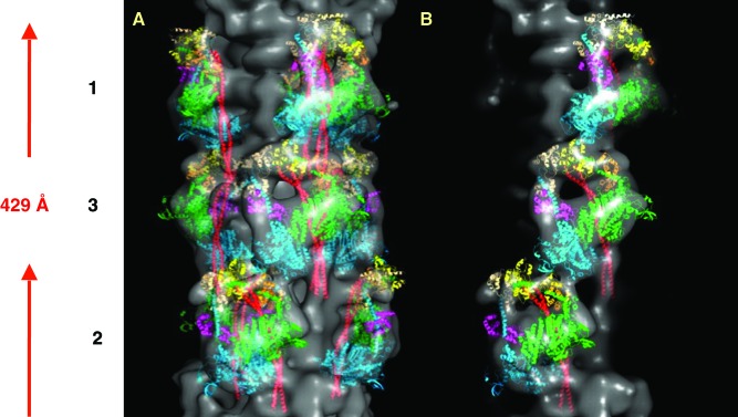 Figure 19. 