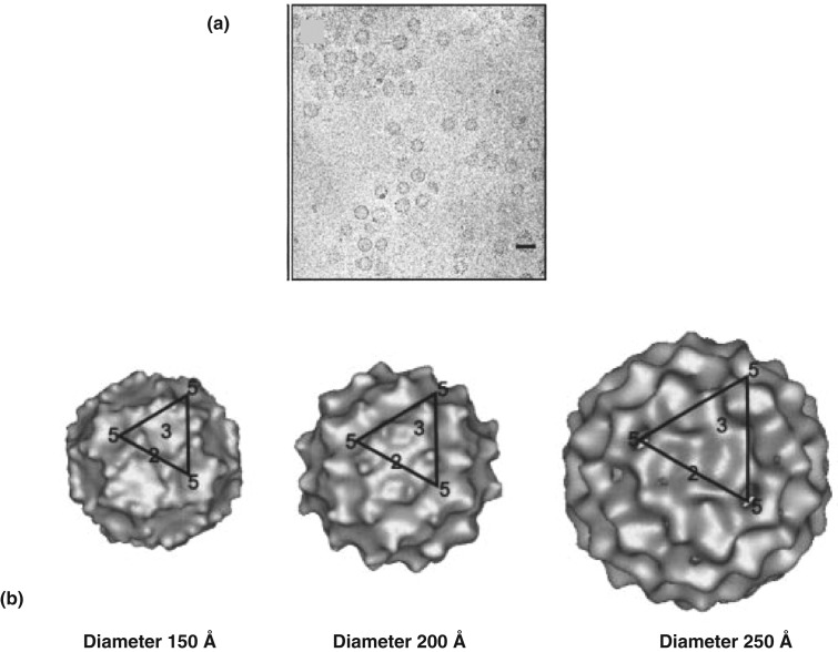 Figure 14. 