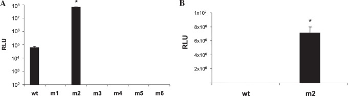 FIG. 2.