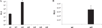 <b>FIG. 2.</b>