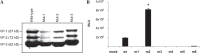 <b>FIG. 1.</b>