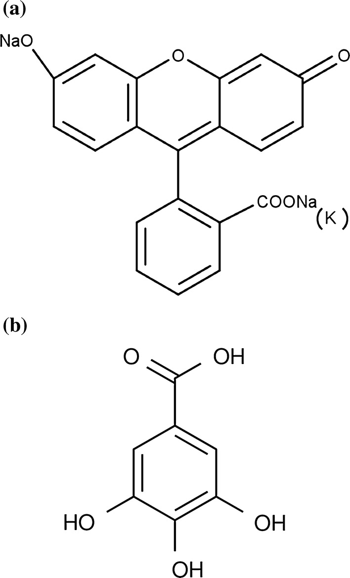 Fig. 1