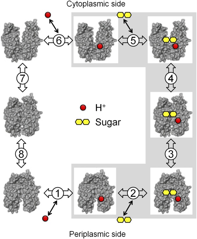 Fig. 2.