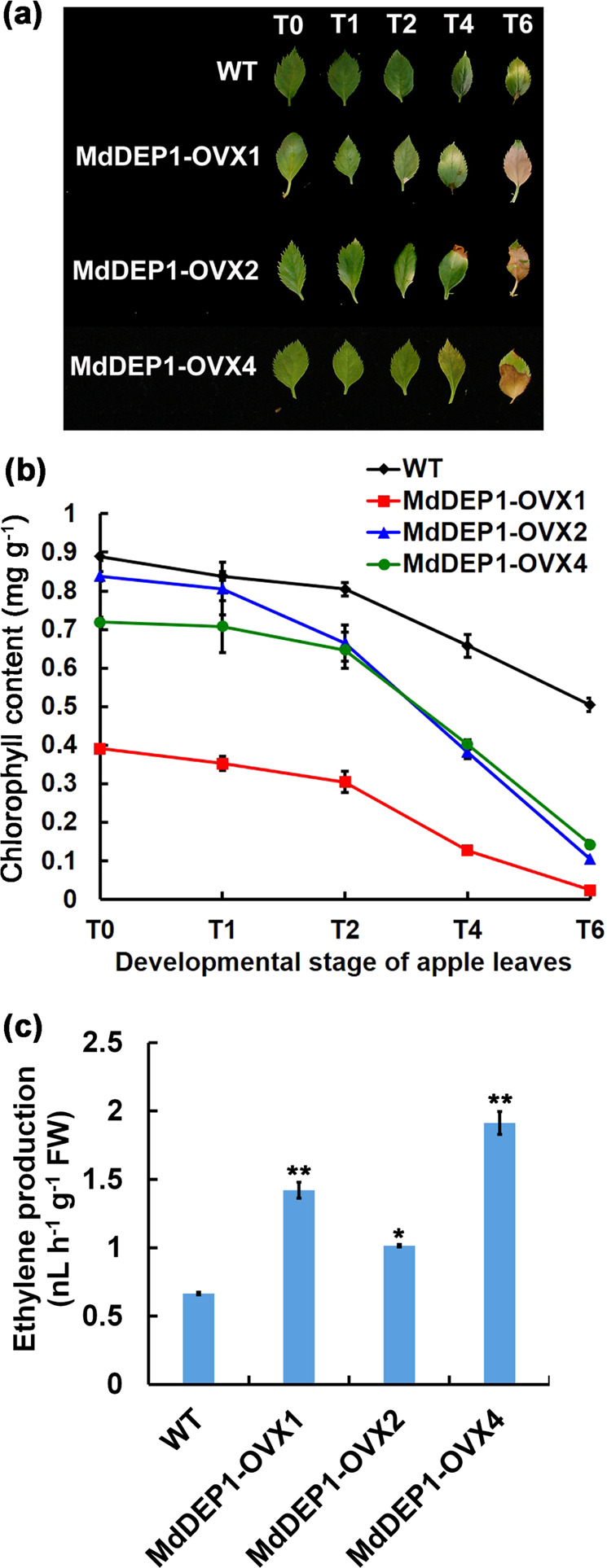 Fig. 4