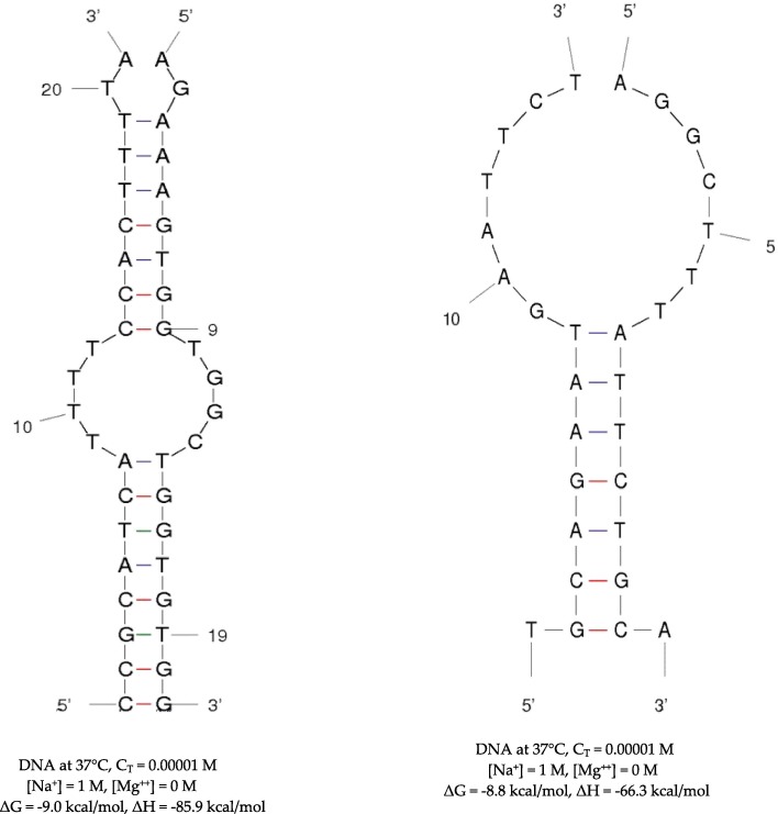 Fig. 13