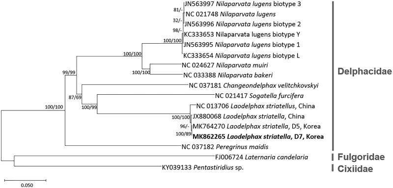 Figure 1.