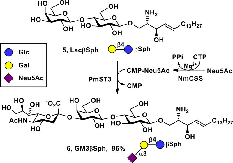 Scheme 1