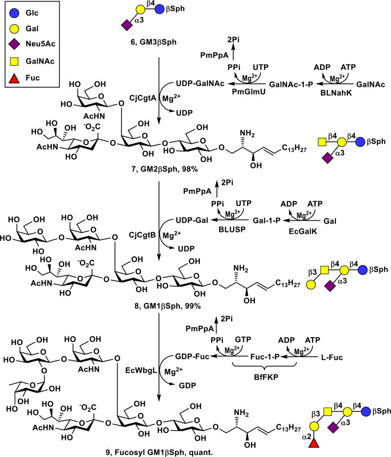 Scheme 2