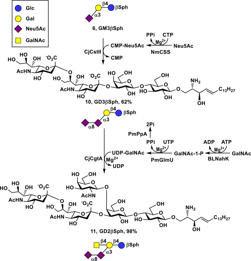 Scheme 3