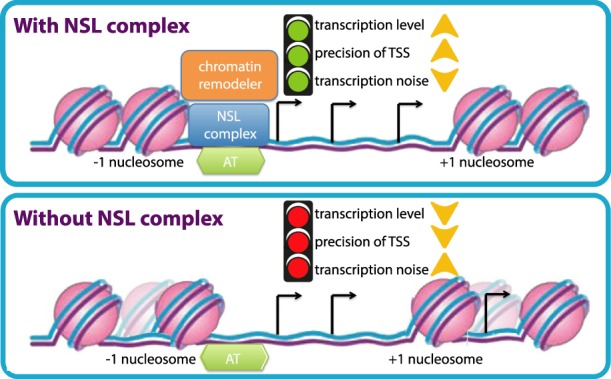 Figure 6.