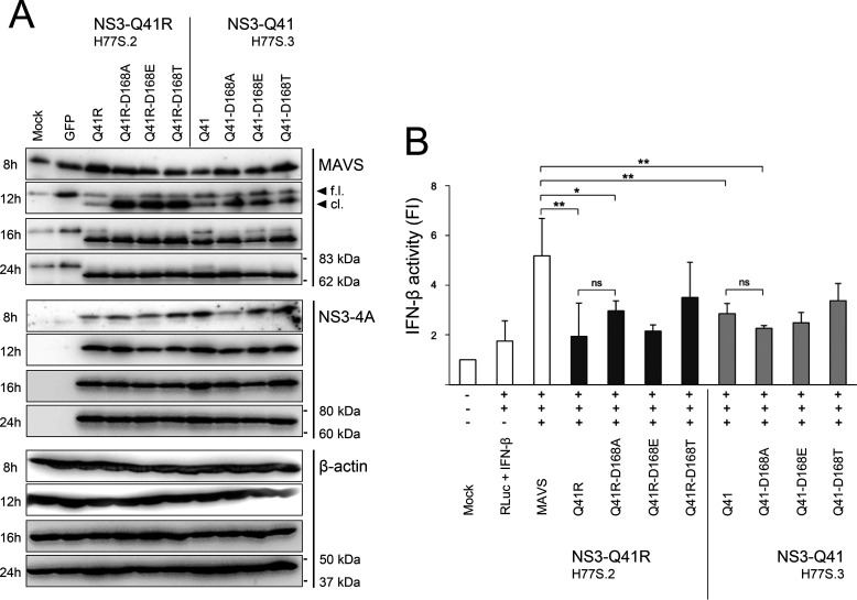 Figure 5.