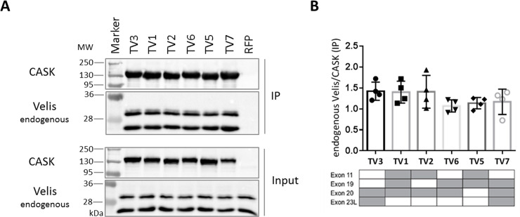 Fig 7