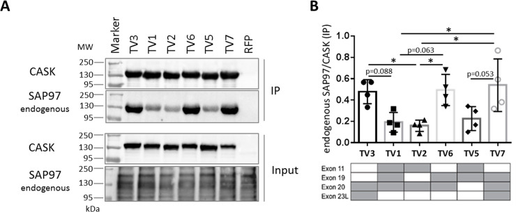 Fig 8