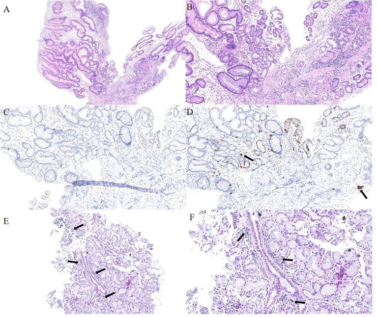 Figure 3