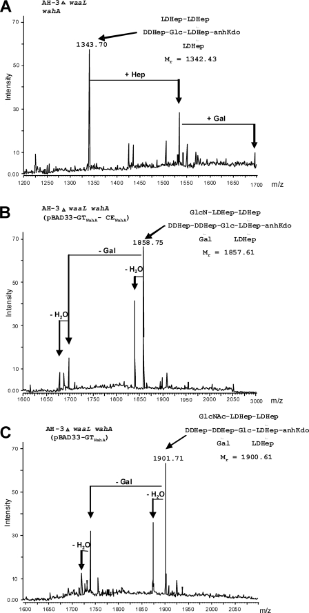 FIGURE 5.