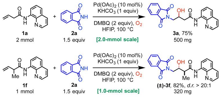 Scheme 2